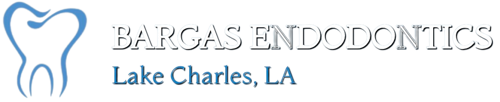 Bargas Endodontics